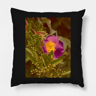 Wild Rose Pillow