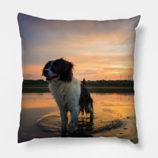 sundown refreshment Pillow