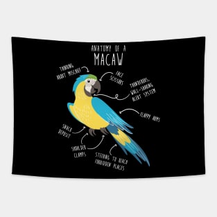 Blue and Gold Macaw Parrot Anatomy Tapestry