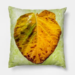 Old collard leaf Pillow