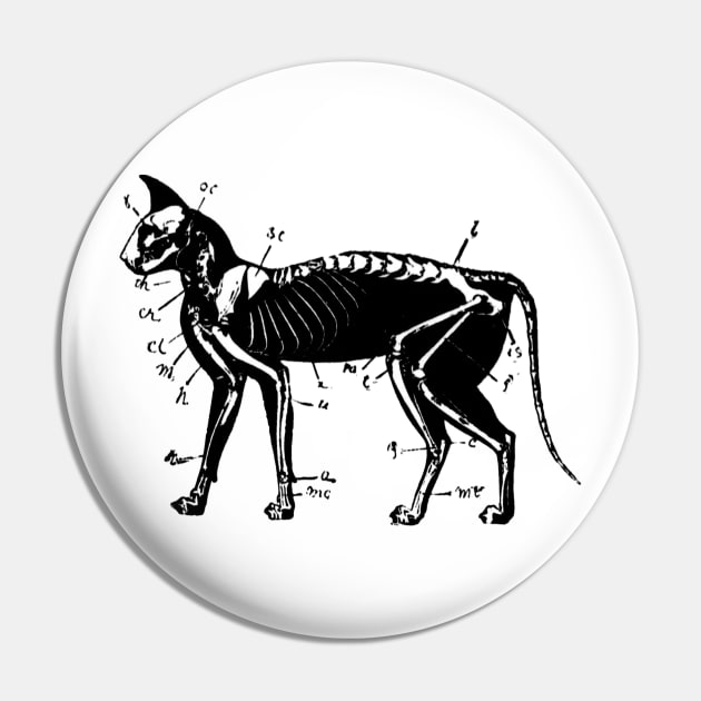 Cat Skeleton Anatomy Pin by nineshirts