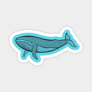 Humpback Whale - hand drawn detailed marine animal design Magnet