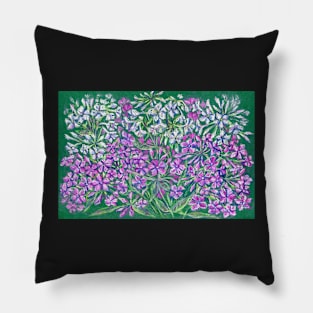 Pink phloxes flowers Pillow