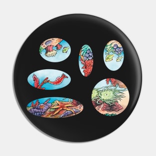 Vibrant Undersea Creatures ft. seahorses, starfish and anenome Pin