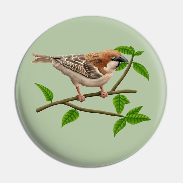 Russet sparrow Pin by CleanRain3675