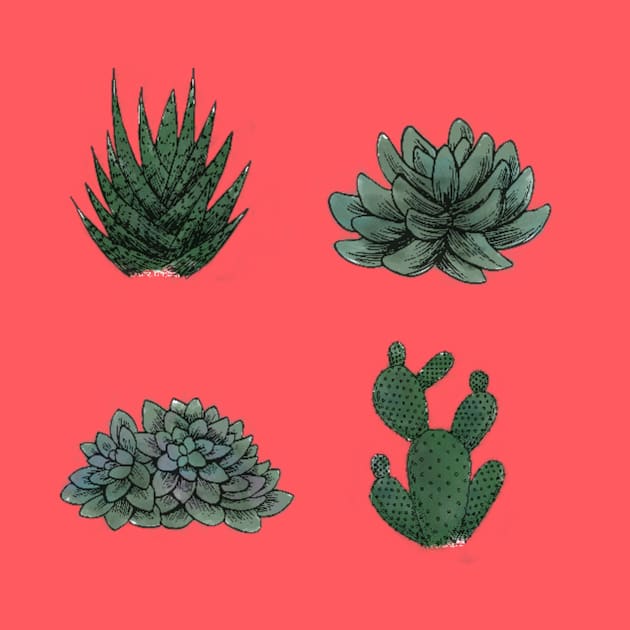 Succulents by ElizeValen