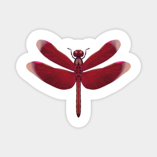 Red hand drawn dragonfly Magnet