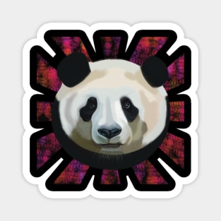 Striking Panda bear on pink black bubble patterned sun rays Magnet