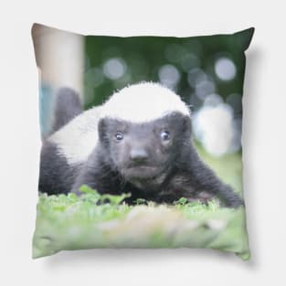 Baby honey badger Pillow