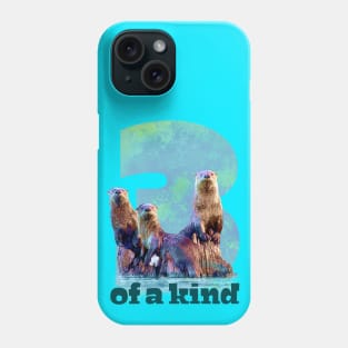 3 of a kind Phone Case