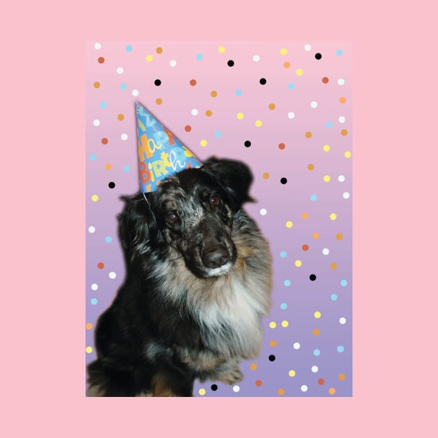 Birthday Aussie Shepard Puppy by PandLCreations