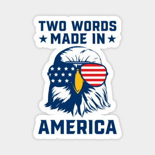 Joe Biden Says Two Words Made In America USA American Flag Funny Biden 2 Words Quote Magnet