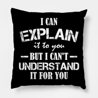 I Can Explain It To You But I Can't Understand It For You Funny Quotes And Memes lovers Pillow