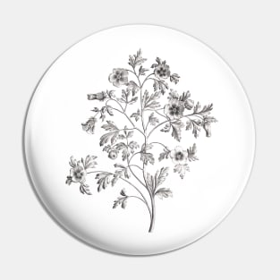 Black and White Botanical Illustration Pin