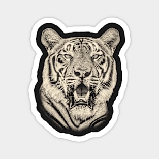 Bengal Tiger Portrait in Vintage Sepia Magnet