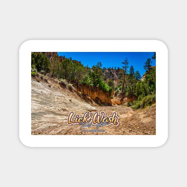 Lick Wash Trail Hike Magnet by Gestalt Imagery