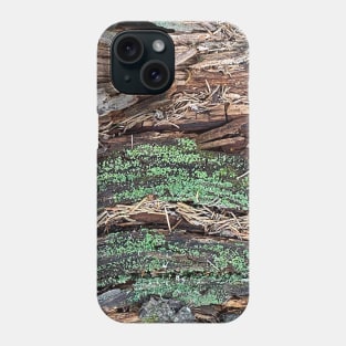 Wood Bark Moss Nature Forest Phone Case