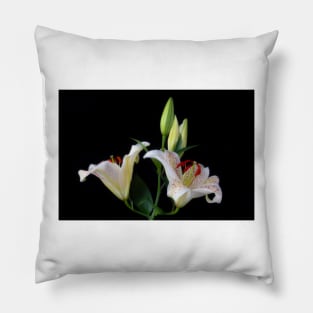 Sonata Lilies Still life Pillow