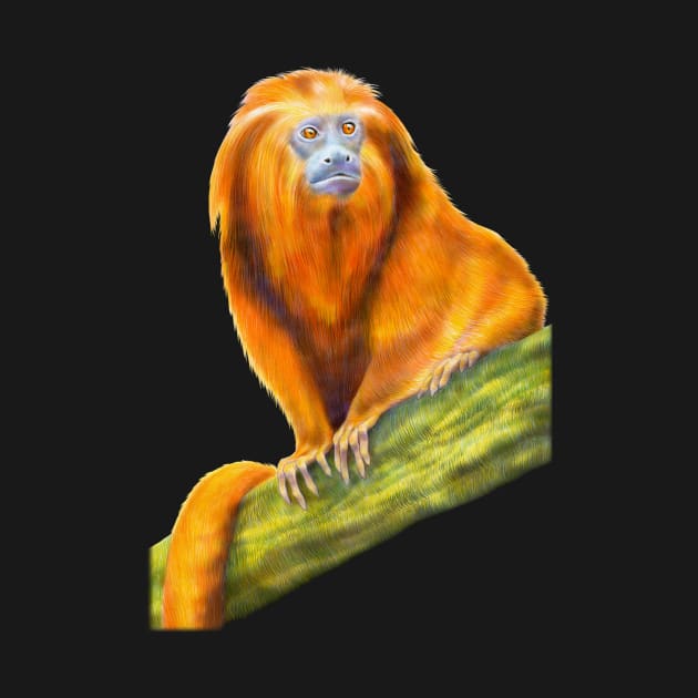 Golden Lion Tamarin by Tim Jeffs Art