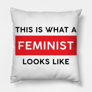 This is what a Feminist Looks like Women’s Rights Pillow