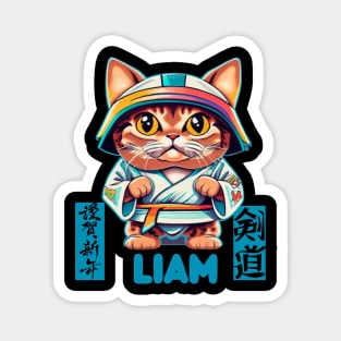 Personalized Name Liam Karate Cat Magnet
