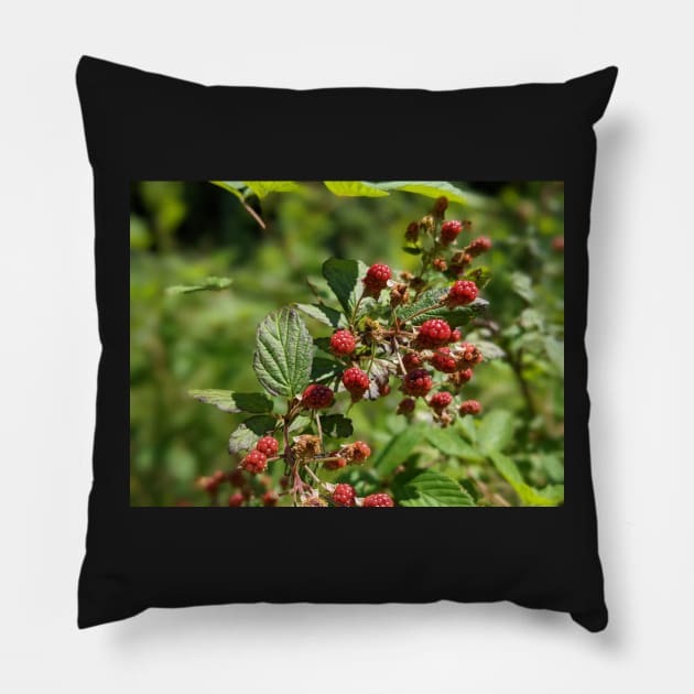 Red Berries Pillow by AustaArt