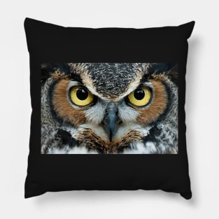 Owl Face Eyes Pillow