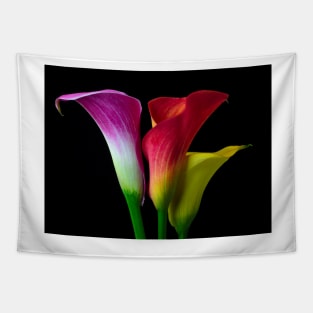 Three Colors Calla Lilies Tapestry