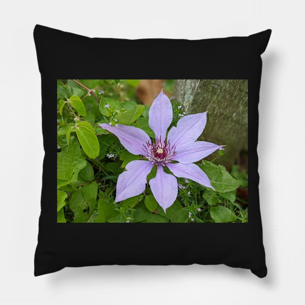 Lavender Flower 3 Pillow by AustaArt