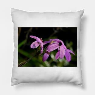 Black Eyed Susan Pillow