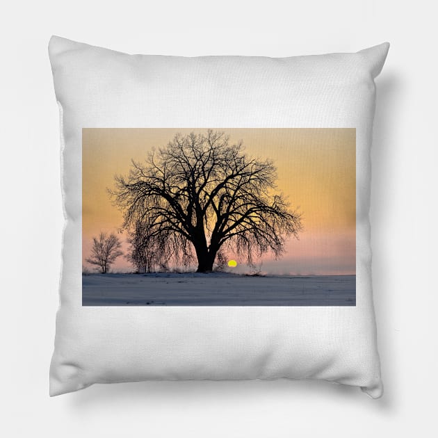 Cottonwood Cold Sunrise Pillow by nikongreg