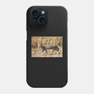 Serval Cat Kitten, Serengeti, Tanzania Phone Case