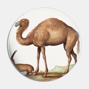 Camel, Ibex, and Goat (1575–1580) Pin