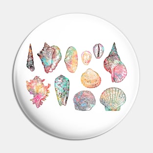 Collection of Seashells Pin