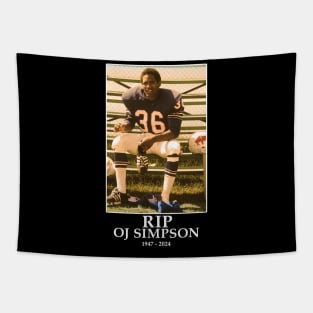 oj simpson 2024 Tapestry