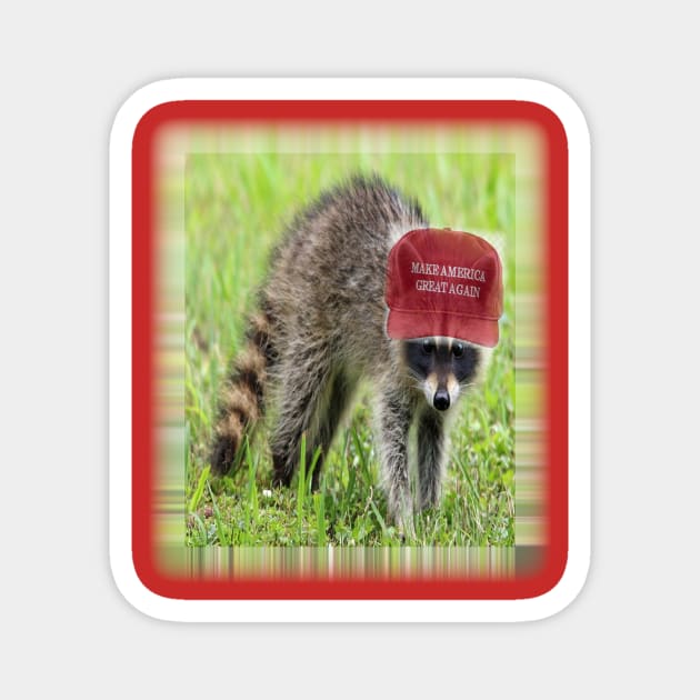 Make America Great Again Racoon Magnet by TWinters