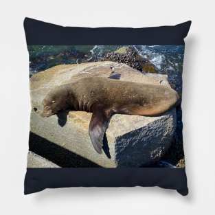 Sea Lion Laying with Flipper Out Pillow