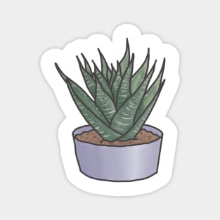 Potted House Plant Cactus Succulent Magnet