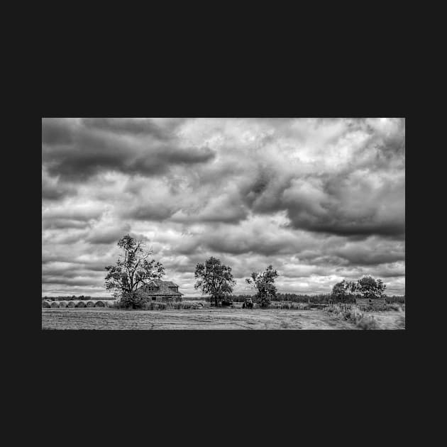 Working Farm with Abandoned House by Debra Martz