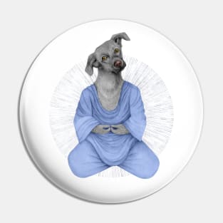 almost meditating dog 2 Pin