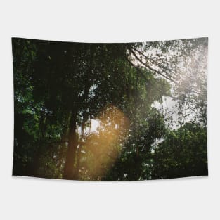 Tropical Serenity: Jungle Canopy Film Photo Print Tapestry