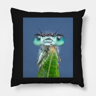 Blue-tailed Damselfly Pillow