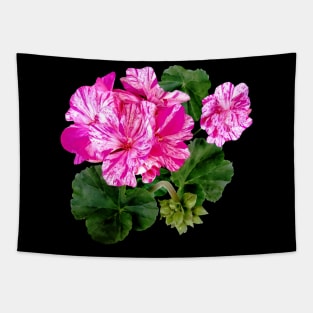 Two Pink and White Striped Geraniums Tapestry