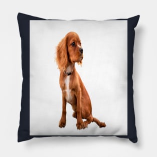 Dog with long ears Pillow