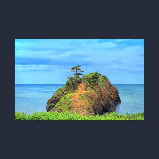 Battle Rock Oregon Coast by Burtney