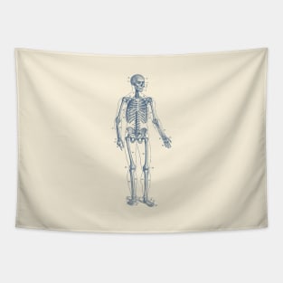 Forward Facing Skeletal Diagram - Vintage Anatomy Poster Tapestry