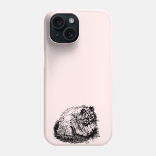 Family Friendly Long Haired Cat Shirt Phone Case