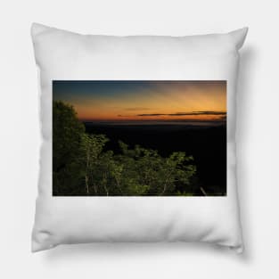 442015 sunrise in the jungle Pillow