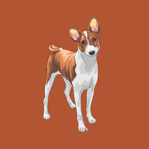 Hunting dog Basenji breed by kavalenkava