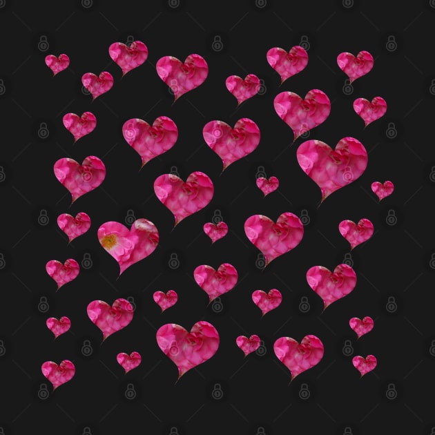 Hearts in pink petals on a black background to celebrate LOVE by Star58